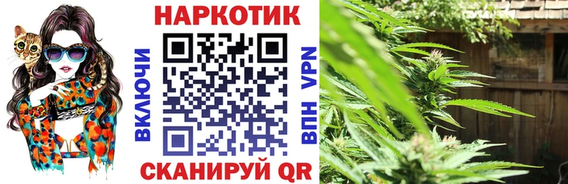 Как найти наркотики Куртамыш Гашиш Cocaine A-PVP Меф