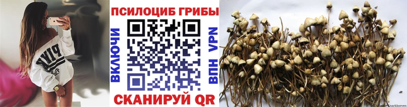 Псилоцибиновые грибы MAGIC MUSHROOMS  Куртамыш 