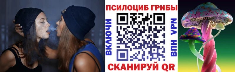 Галлюциногенные грибы Psilocybe Куртамыш